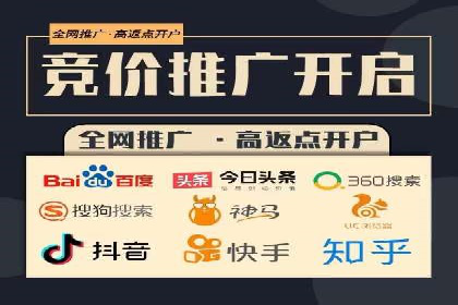 谷歌竞价广告的投放策略与成功案例分析